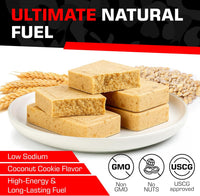 Datrex 3600 Emergency Food Bar - 3 Day/72 Hour Bar - Single Pack